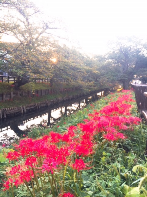 朝活のすすめ