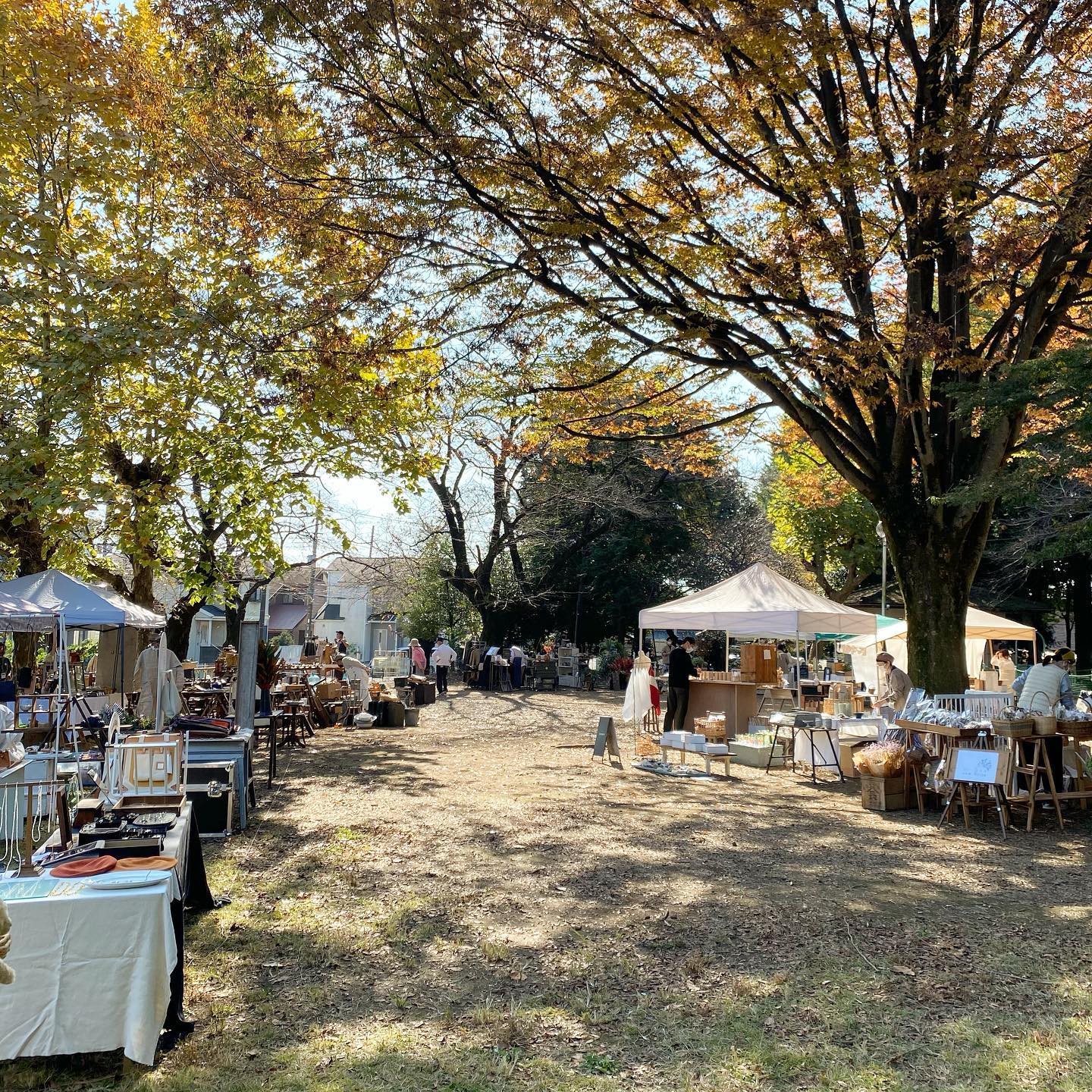 ・11月3日　文化の日一年一度、普段の静粛な初雁公園が華やかに彩られる幻の様な日KODAWARIのいと@kodawarinoito たくさんの方のおかげで今年も無事に開催する事ができましたお越しくださいました全ての方々にお礼申し上げます皆様と一緒に心に残る秋の一日が過ごせ本当に嬉しいです少し忙し過ぎて会いに来てくださった方とゆっくりお話しなどできなかった事が心残りですまたお店や出店先でお会いできます様に今回は“yadorigi”としてブースを作りました　@yadorigi8 @ochai3 @pienikota @kikono_shop 抜群のチームワークで頼もしい限りですKODAWARIのいとまた来年も開催できます様に