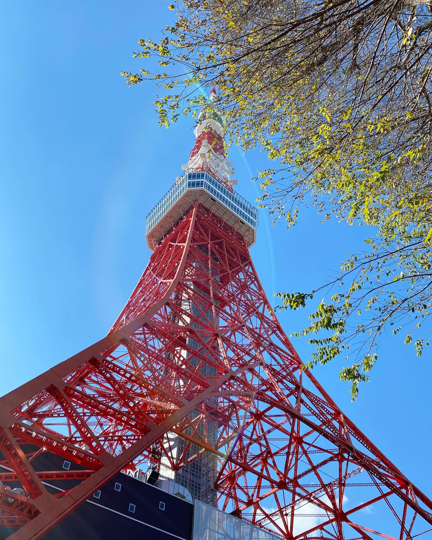 あけましておめでとうございます・２０２２年の営業が明日から始まります・年末から長いお休みをいただき心あらたに皆様をお迎えしたいと思いますので川越散策かねてお待ちしております・1月は水曜日と23日(日)が定休日です(11:00から16:30までOpen)・写真は休み中の楽しかったお出かけ暮縞さん　@cla_cima ファミリーと東京タワーの台湾祭　台湾の夜市気分をみんなで味わって最高でした今年は本場にもみんなで行きたいな・ピエニさん　@pienikota にもゆっくり行けてよかった　開店の前に着いたので土手でまったりしたのも楽しかったな・それでは今年もどうぞよろしくお願いいたします・・・