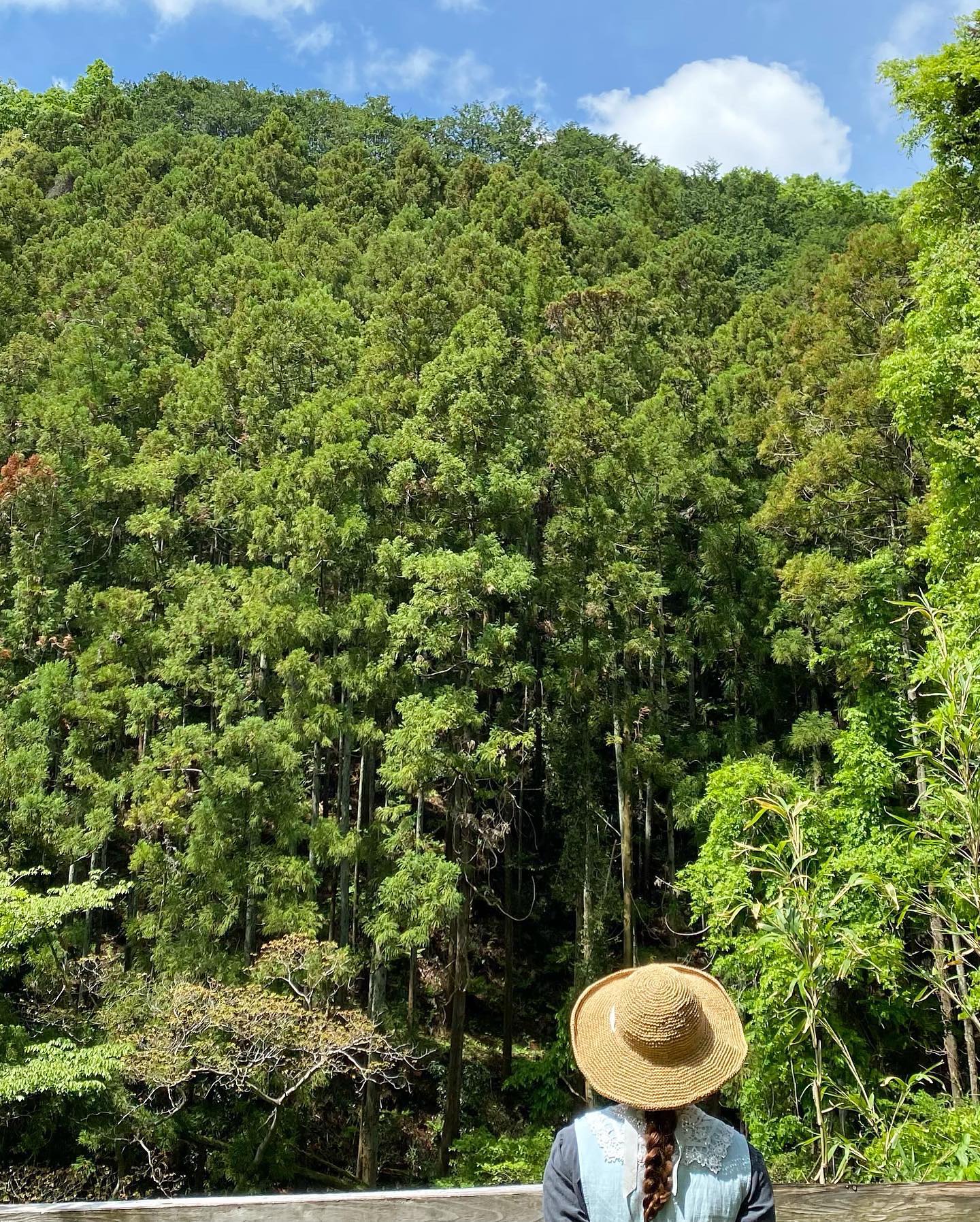 ココ・ファーム・ワイナリーヴィンヤードマルシェ本日2日間です@cocofarmwinery 山々の自然とぶどう畑が気持ち良過ぎる最高のお天気になりました昨日の初日も会いにきてくださったお客様誠にありがとうございました！幸せな場所での出店に感謝しますお客様が続々といらっしゃっていてワイナリー見学やテイスティング、食事を楽しんでいらっしゃいますマルシェも目移りしてしまう程魅力的なお品揃えですので是非楽しみにいらしてくださいね11:00から16:00まで