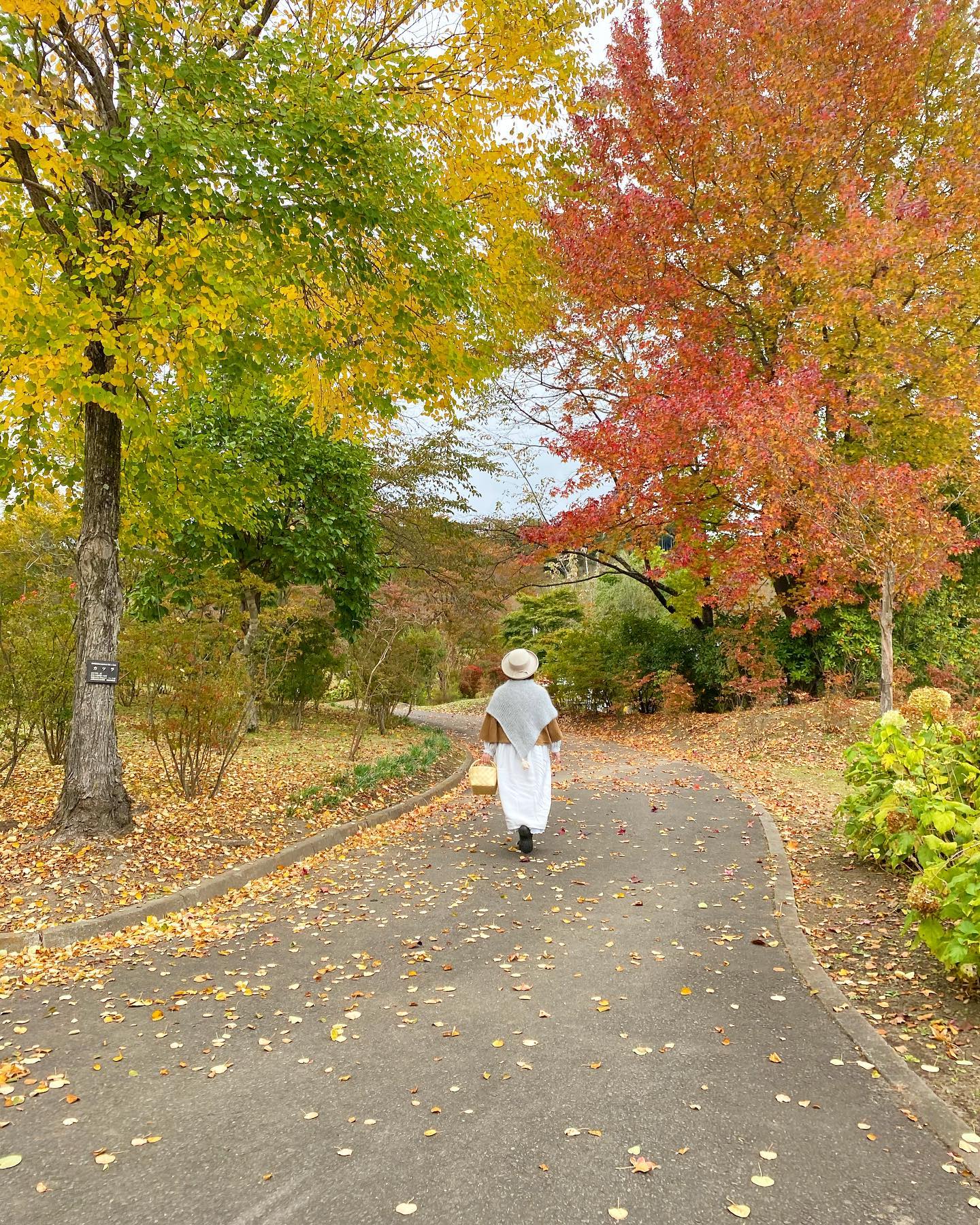 10月も残りわずかで11月がやってきます木々の葉が美しく彩り私達を楽しませてくれる実り豊かな季節11月も素敵なイベントが続きますので是非皆様にお会いできます事楽しみにしています11月3日(木)祝日KODAWARIのいと　@kodawarinoito 11月5(土)6(日)浅草ライヲン百貨店　@asakusaliondepartmentstore 11月19(土)20(日)暮らすトコロマーケット@kuratoko_market 川越の店舗のお休みは水曜定休日+3(木)4(金)19(土)20(日)27(日) ですまた6(日)は14:00までの営業となります