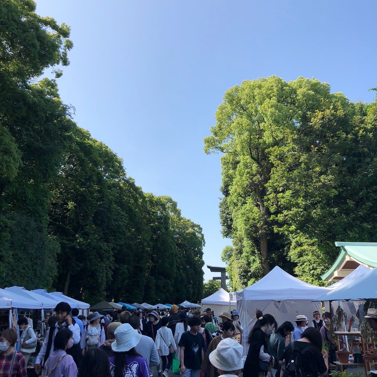 福岡　護国神社蚤の市@gokoku_dpart 初日の本日、快晴のお天気と護国神社の清々しい空気の中開催されましたお越しくださいましたお客様楽しいお時間をありがとうございました明日の2日目も帽子と洋服たくさんご用意してお待ちしています9:00から16:00まで#福岡護国神社蚤の市 #護国神社蚤の市