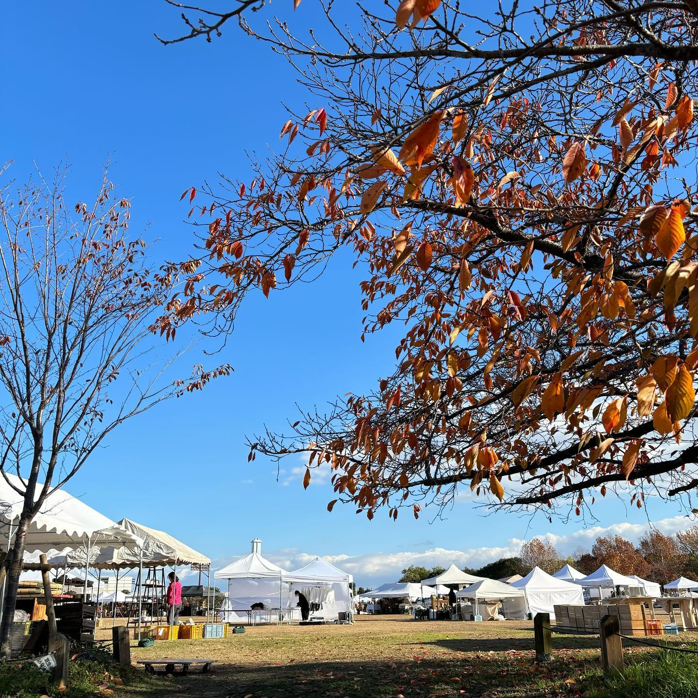 関西蚤の市　@kansainominoichi 初めての万博公園の太陽の塔に感動しながら無事に搬入をしてきました明日からの３日間どんな出逢いが待っているのでしょうか最高のフェスティバルを皆様と一緒に楽しみたいですブース番号200番、エントランスを入ってすぐ左にて皆様のお越しをお待ちしております#関西蚤の市に持って行くよ #関西蚤の市